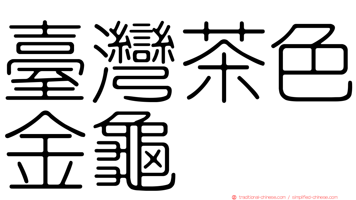 臺灣茶色金龜