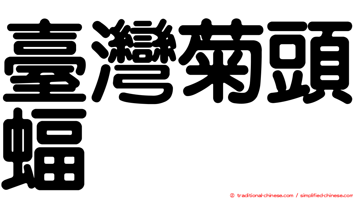 臺灣菊頭蝠
