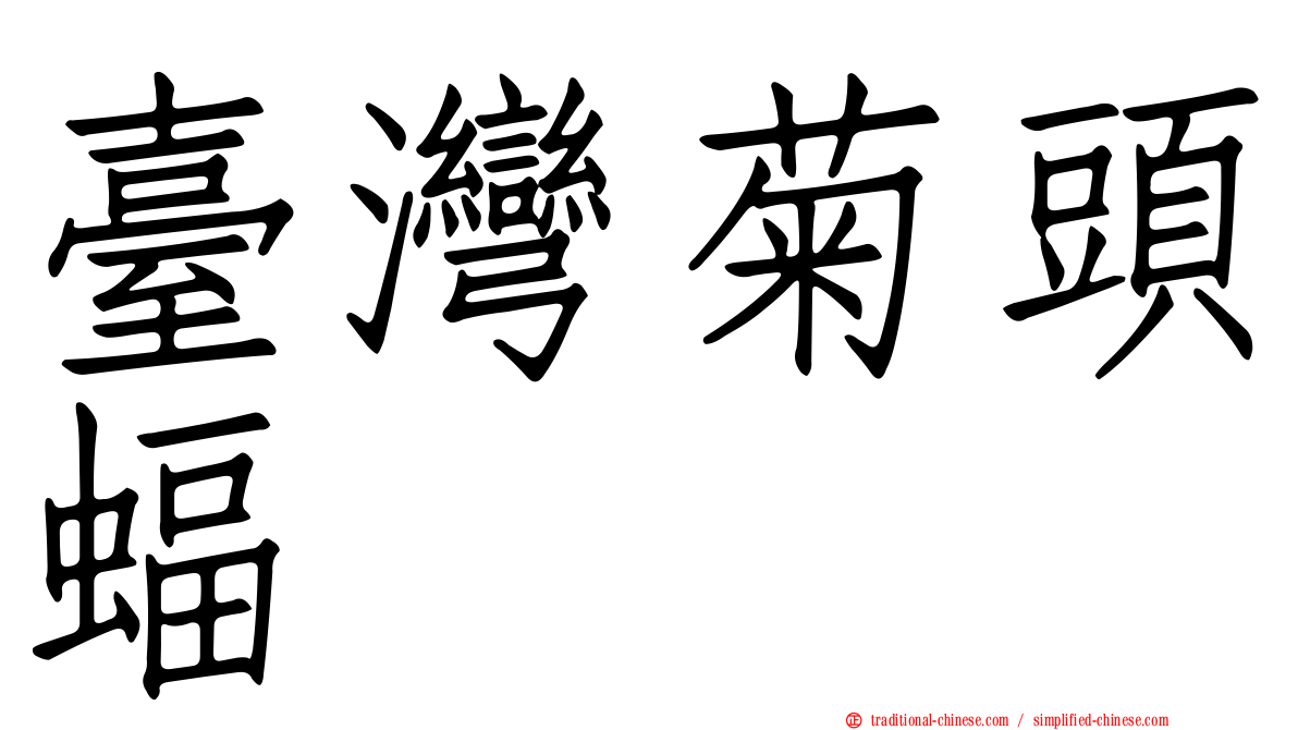 臺灣菊頭蝠