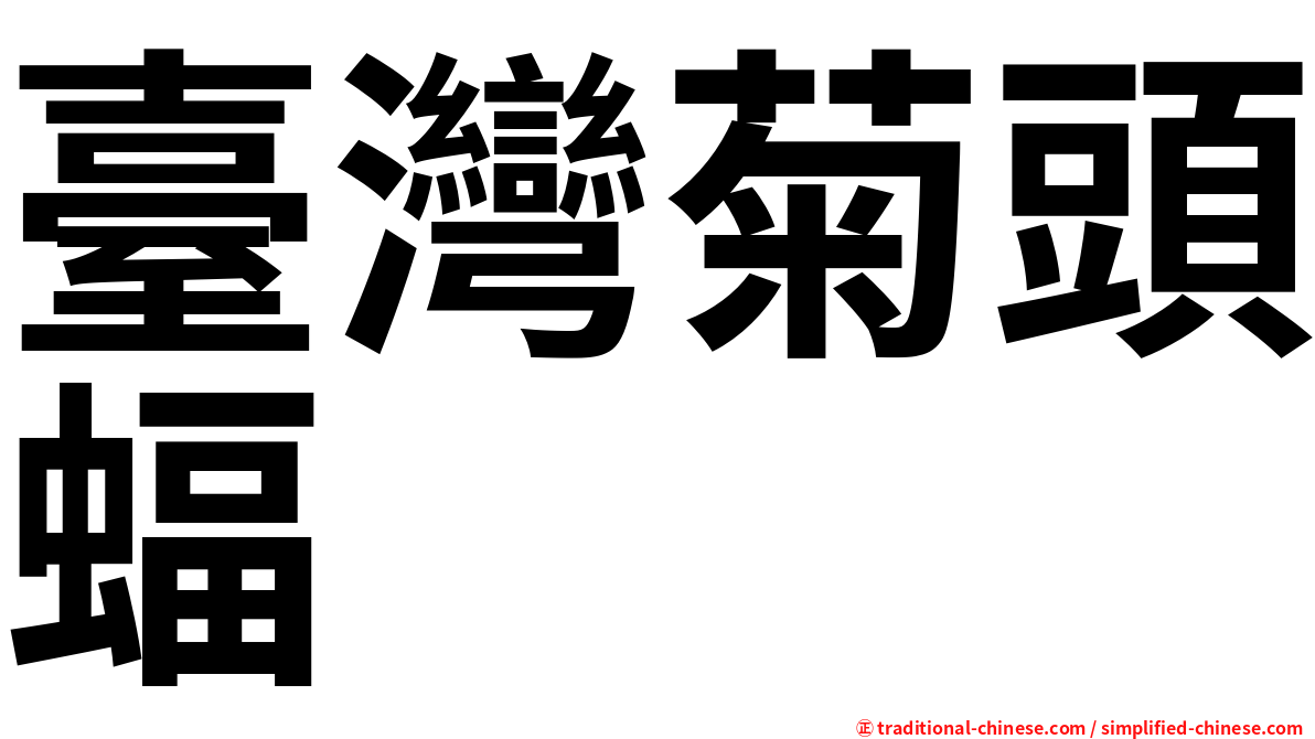 臺灣菊頭蝠