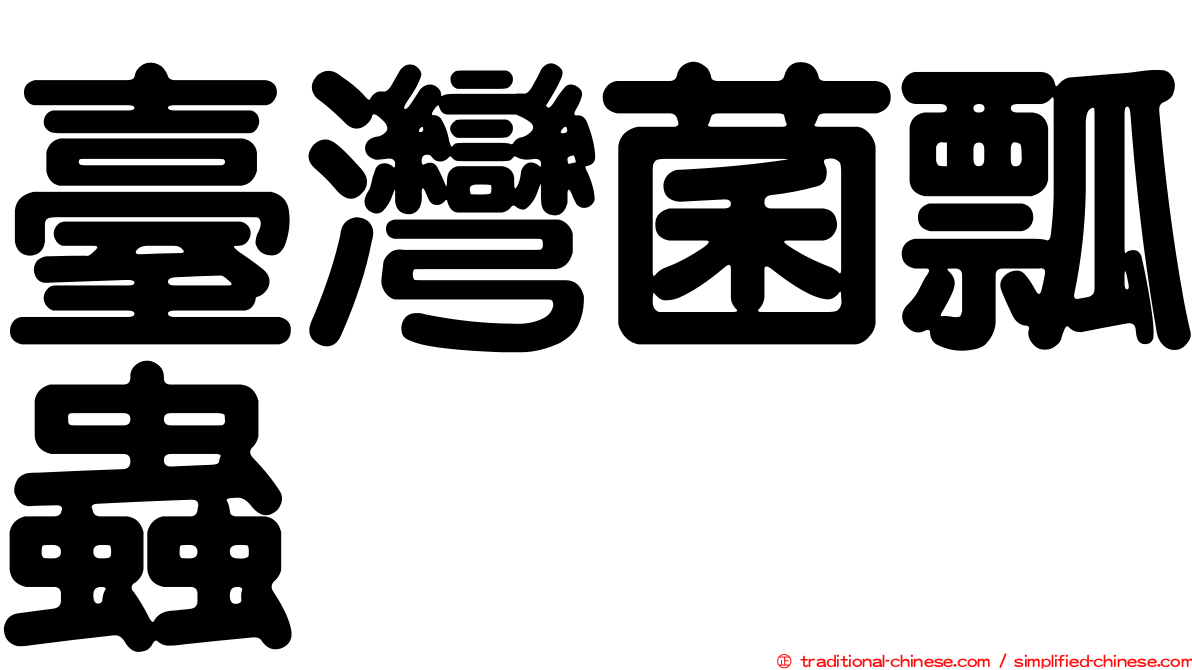臺灣菌瓢蟲