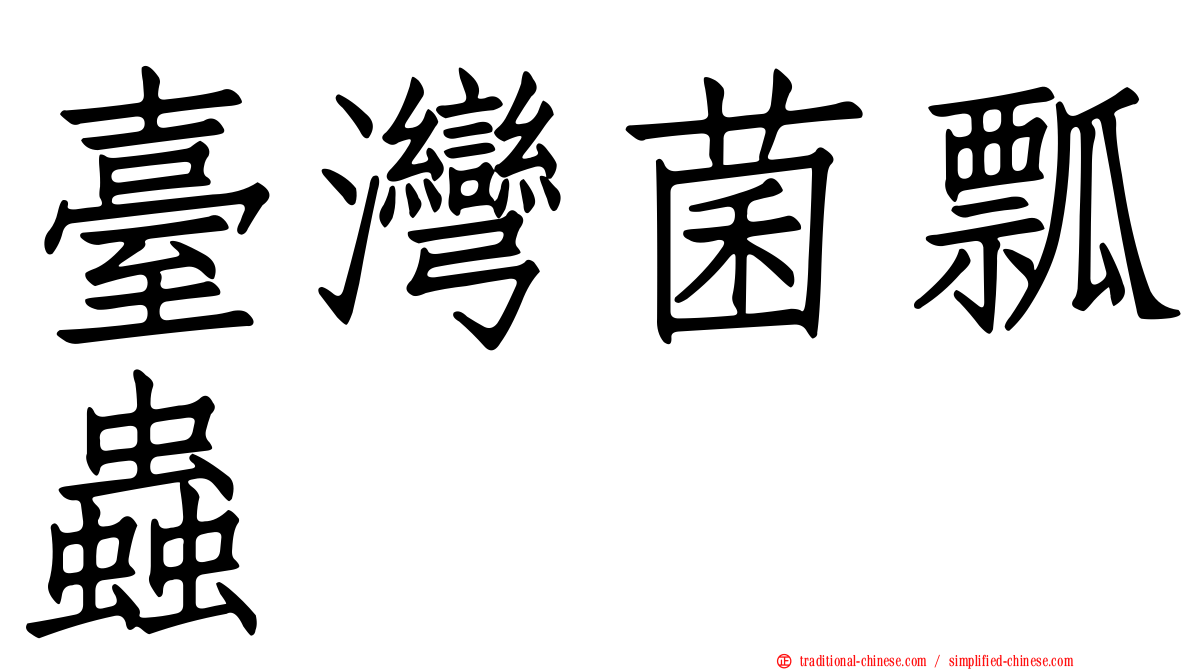 臺灣菌瓢蟲