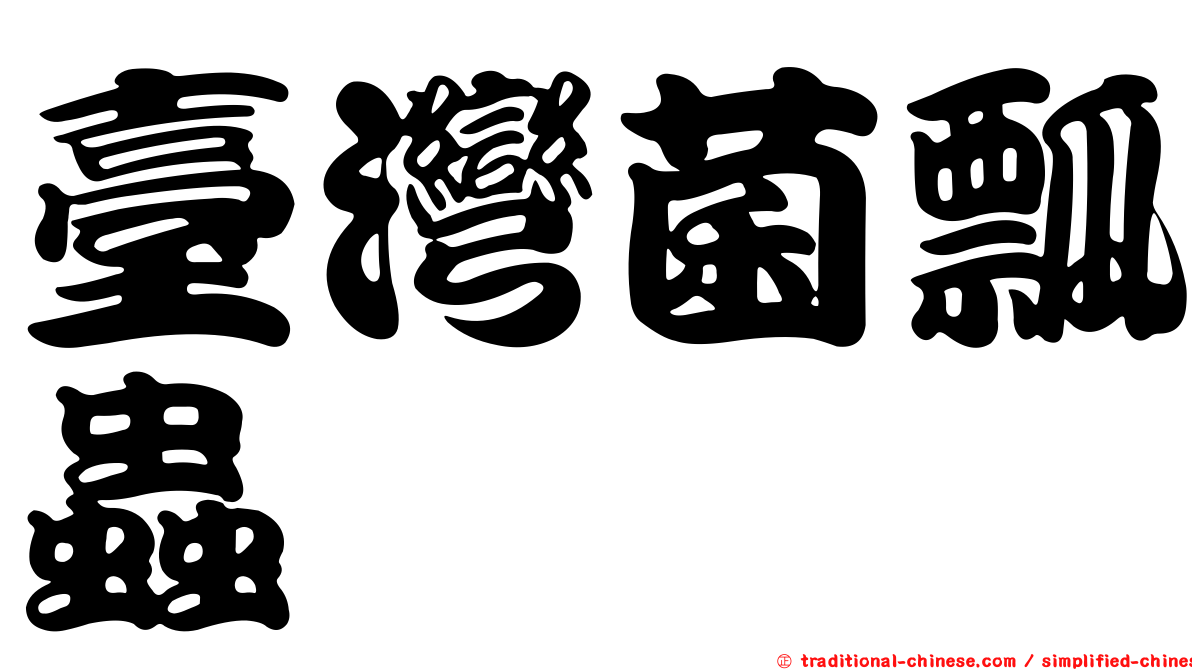 臺灣菌瓢蟲