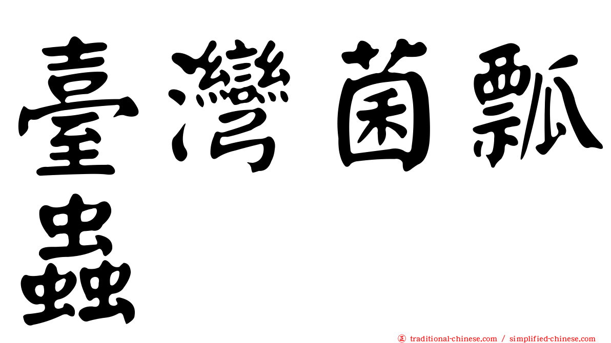 臺灣菌瓢蟲