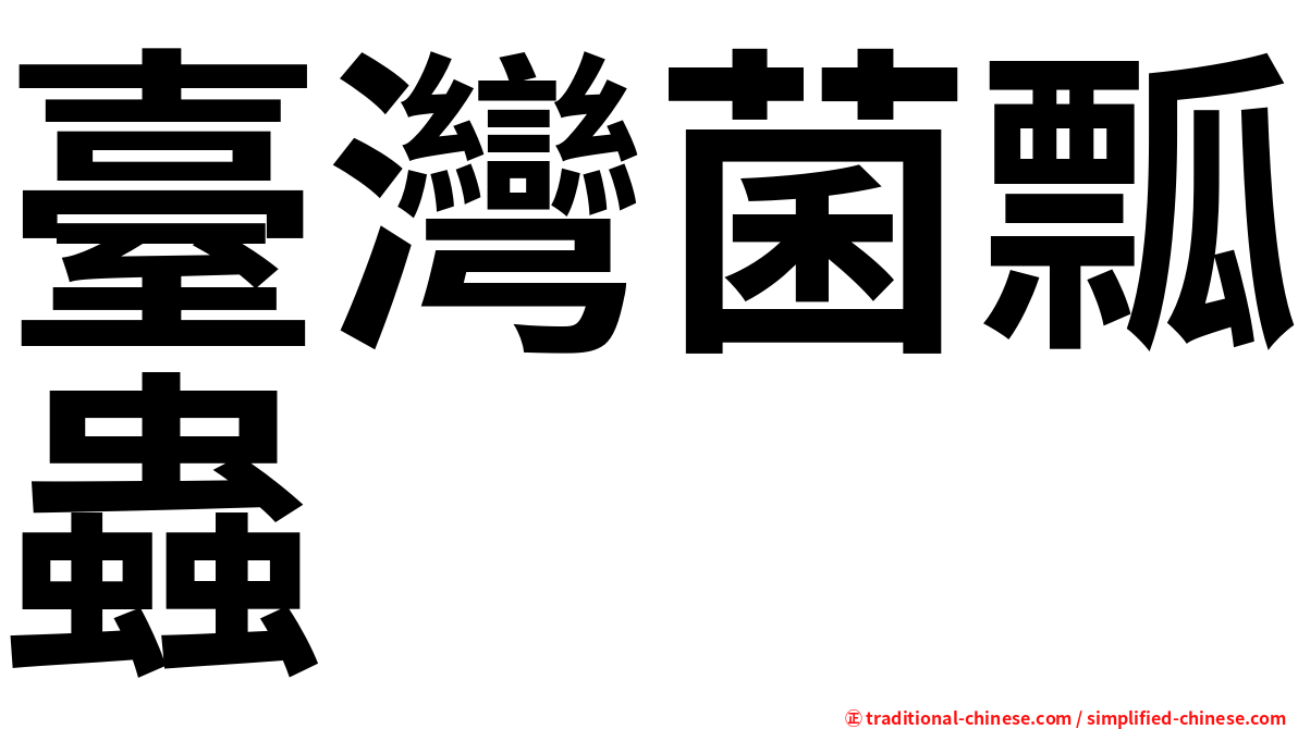 臺灣菌瓢蟲