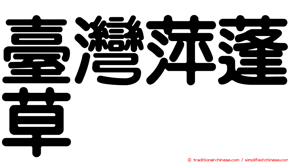 臺灣萍蓬草