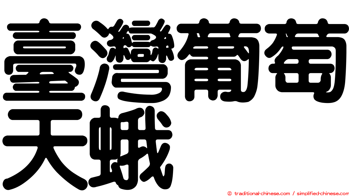臺灣葡萄天蛾