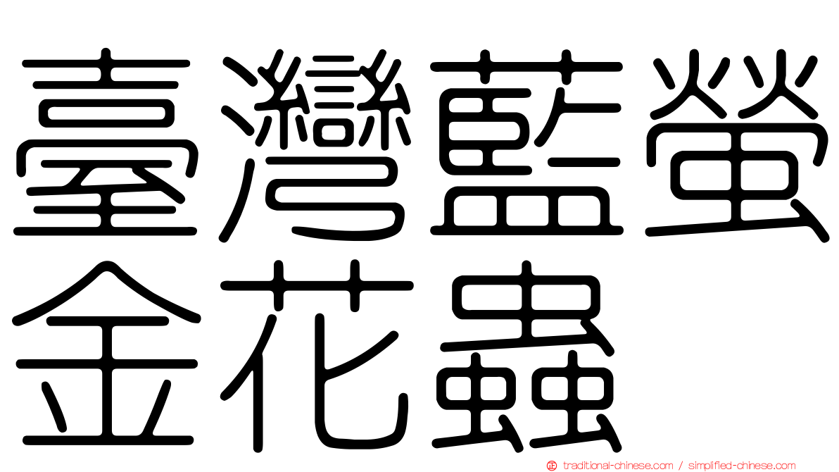 臺灣藍螢金花蟲