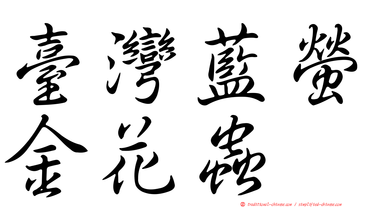 臺灣藍螢金花蟲