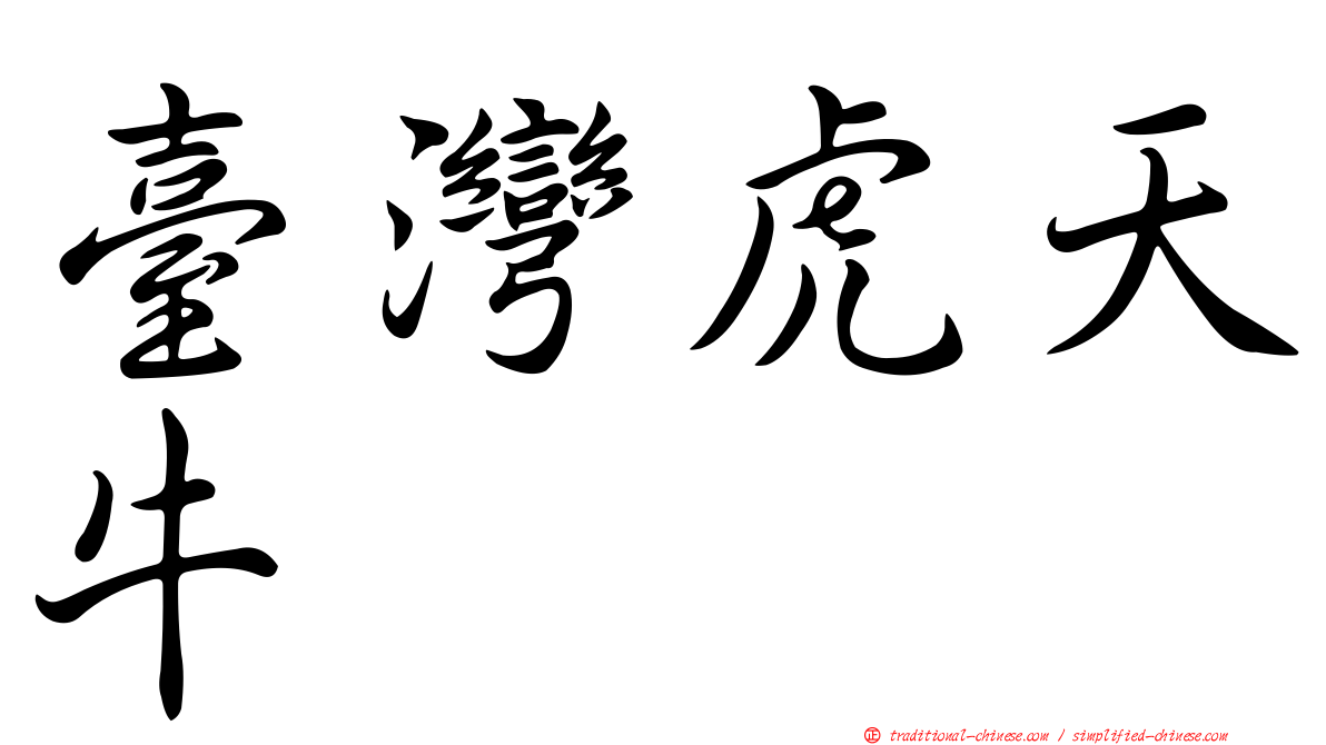 臺灣虎天牛