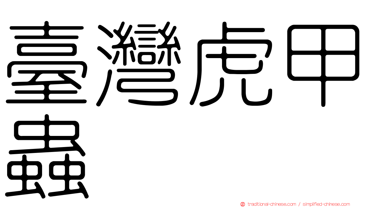 臺灣虎甲蟲