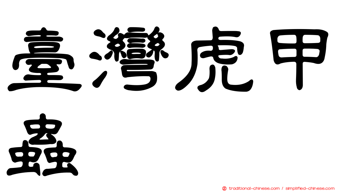 臺灣虎甲蟲