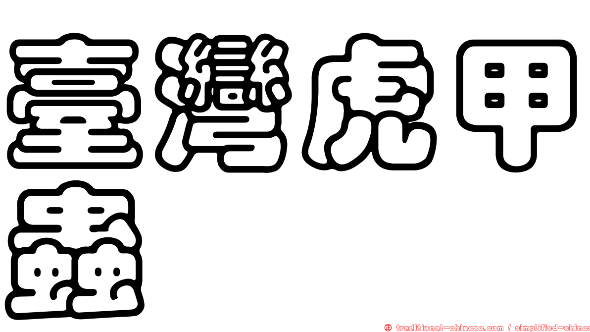 臺灣虎甲蟲