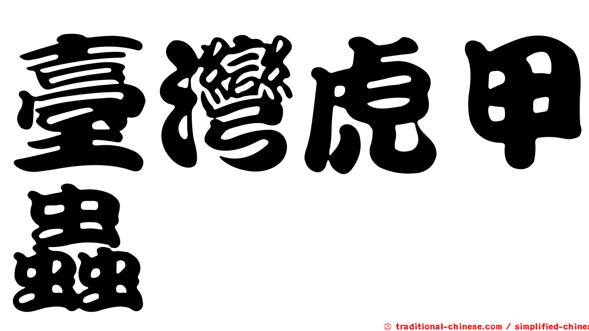 臺灣虎甲蟲