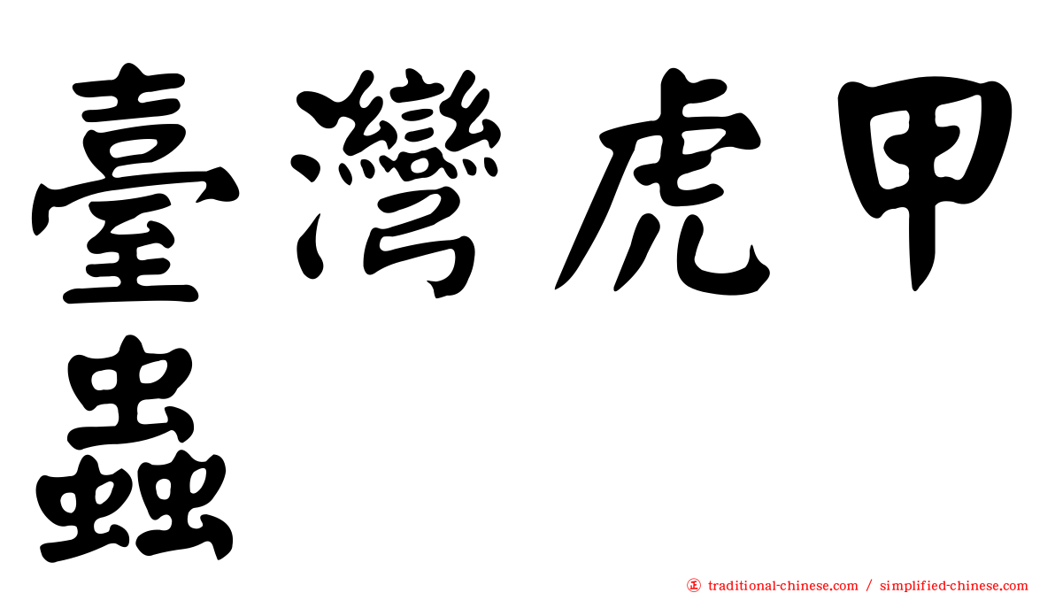 臺灣虎甲蟲