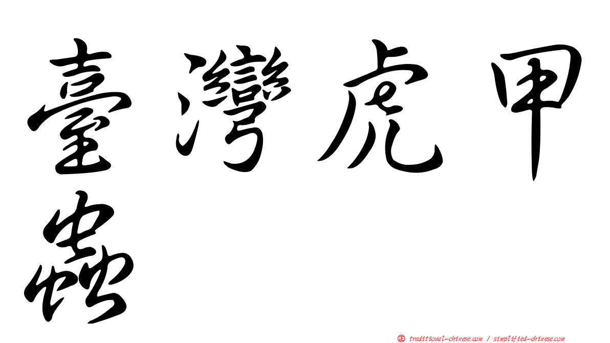 臺灣虎甲蟲