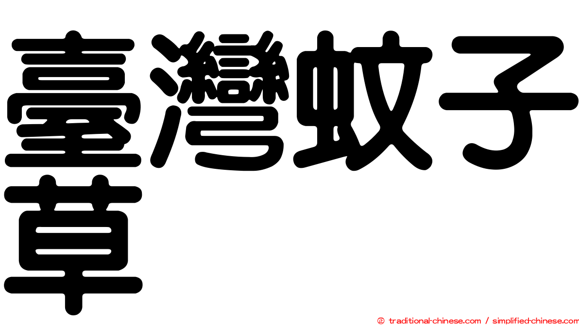 臺灣蚊子草