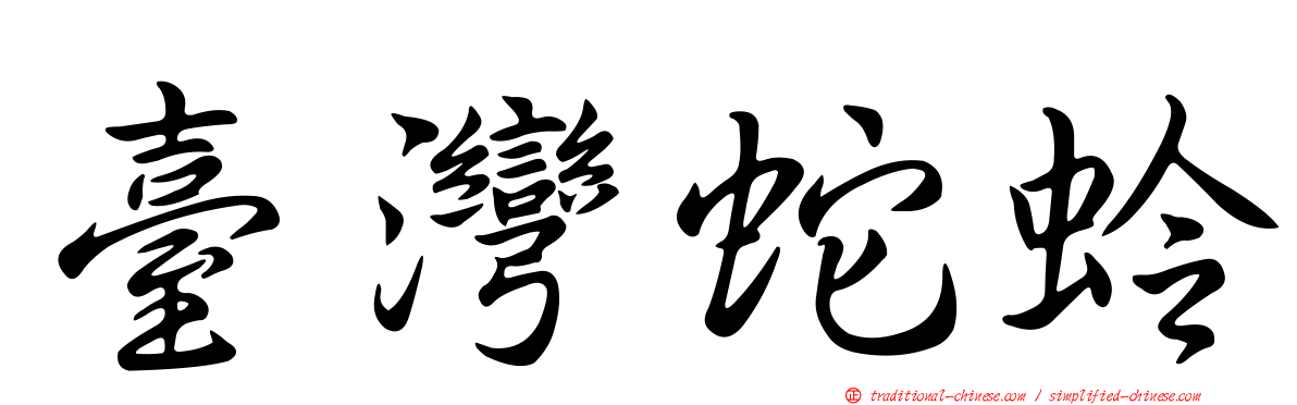 臺灣蛇蛉
