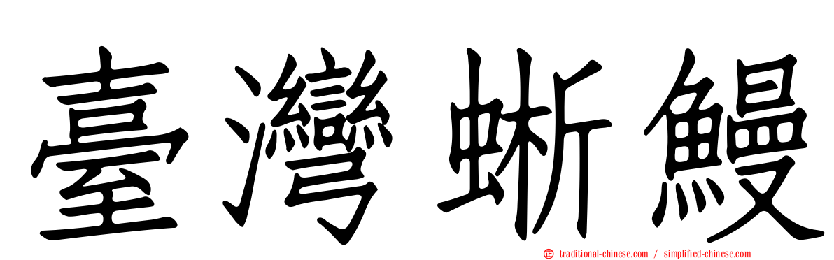 臺灣蜥鰻