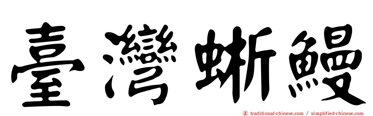 臺灣蜥鰻