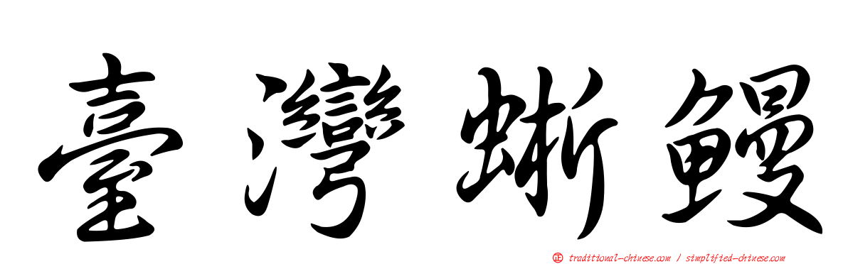 臺灣蜥鰻
