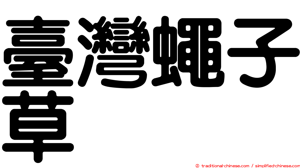 臺灣蠅子草