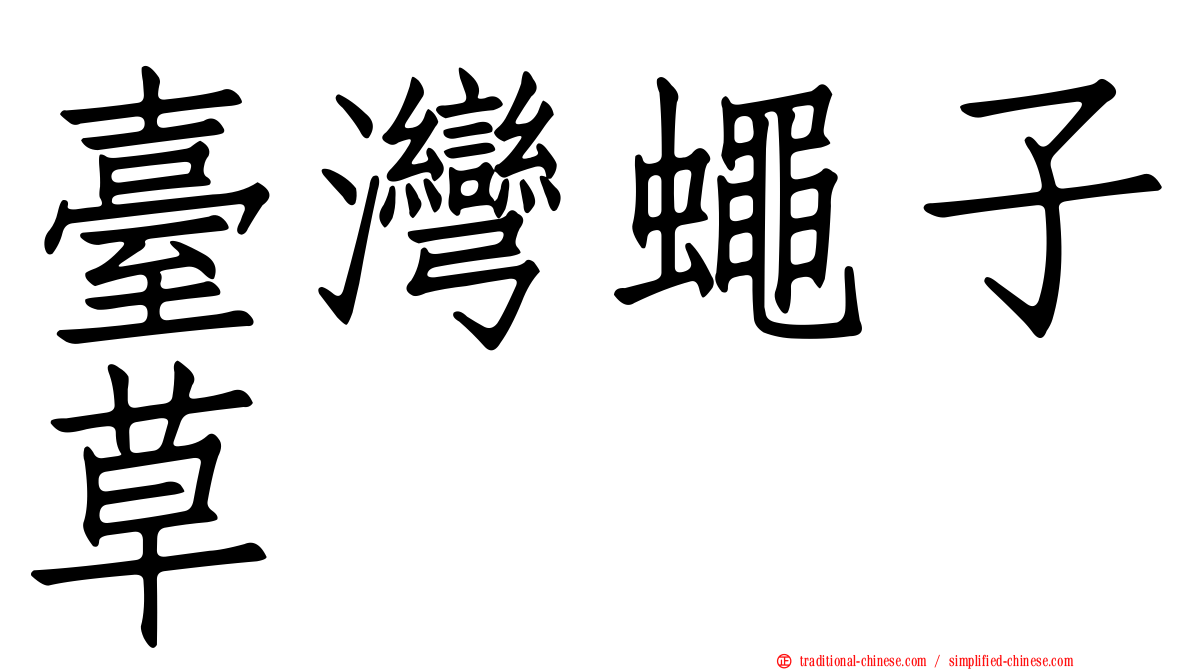 臺灣蠅子草