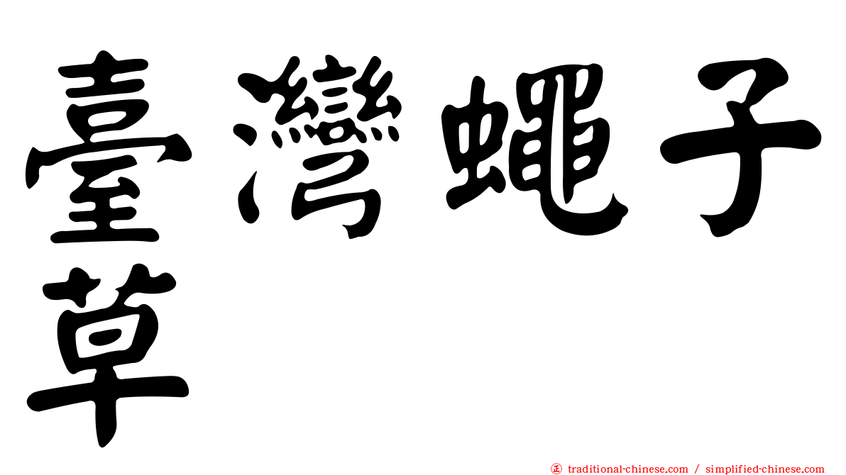 臺灣蠅子草