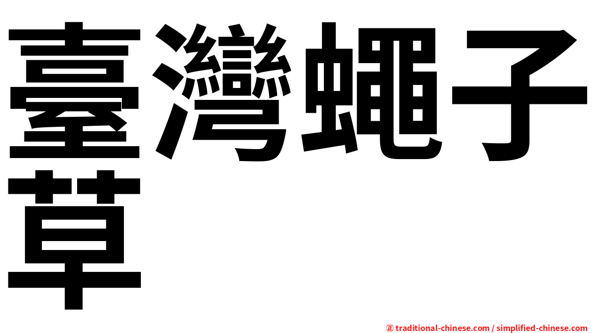 臺灣蠅子草