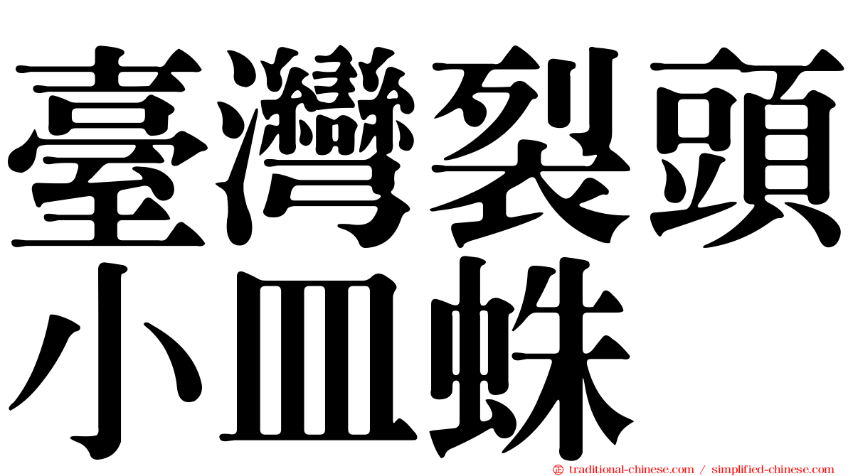 臺灣裂頭小皿蛛