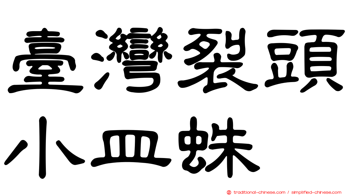 臺灣裂頭小皿蛛