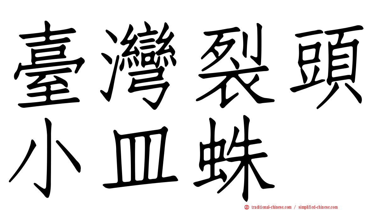 臺灣裂頭小皿蛛