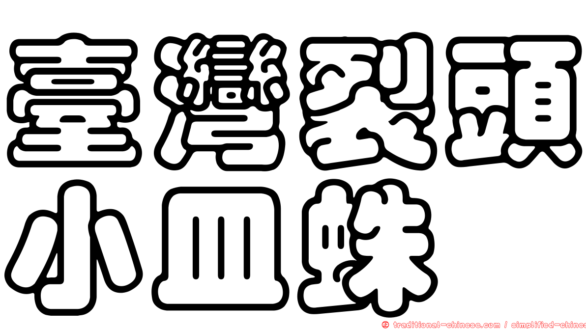 臺灣裂頭小皿蛛