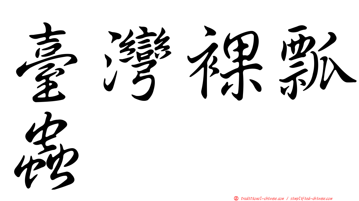 臺灣裸瓢蟲