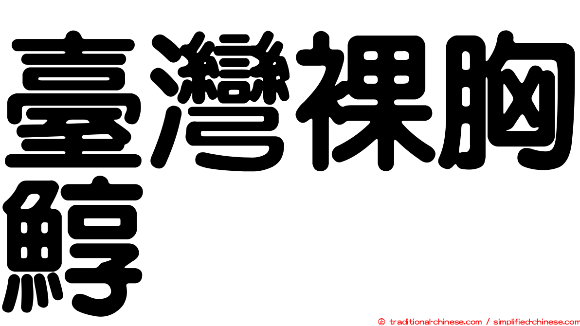 臺灣裸胸鯙