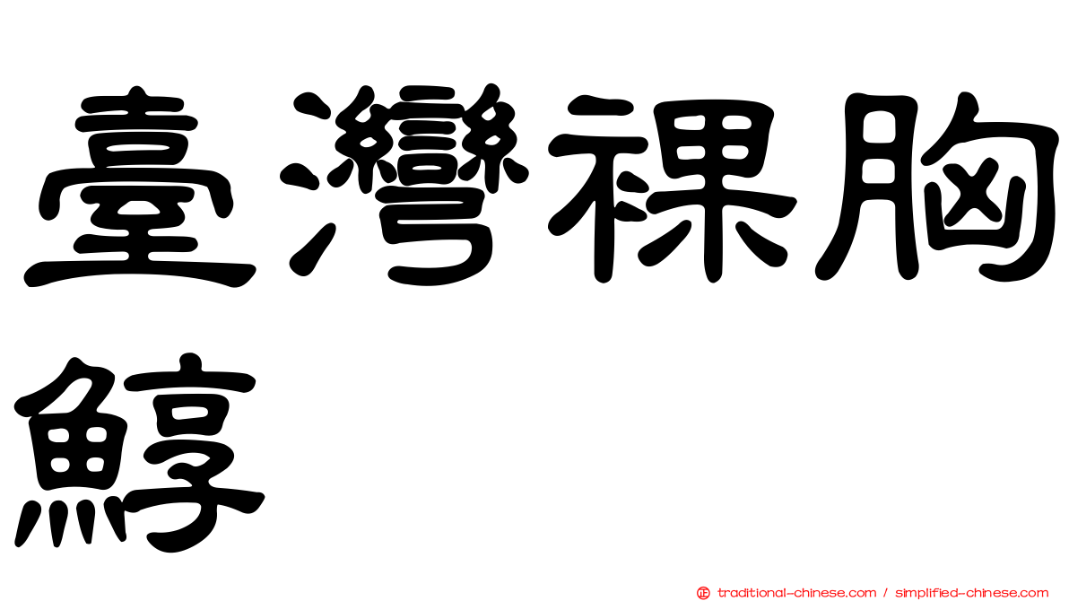 臺灣裸胸鯙