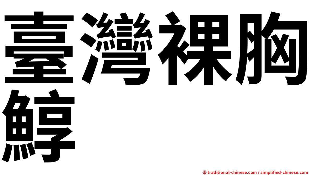 臺灣裸胸鯙