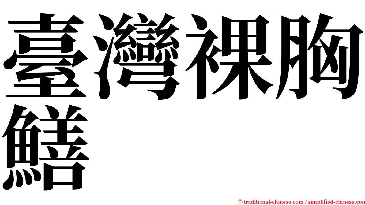 臺灣裸胸鱔 serif font