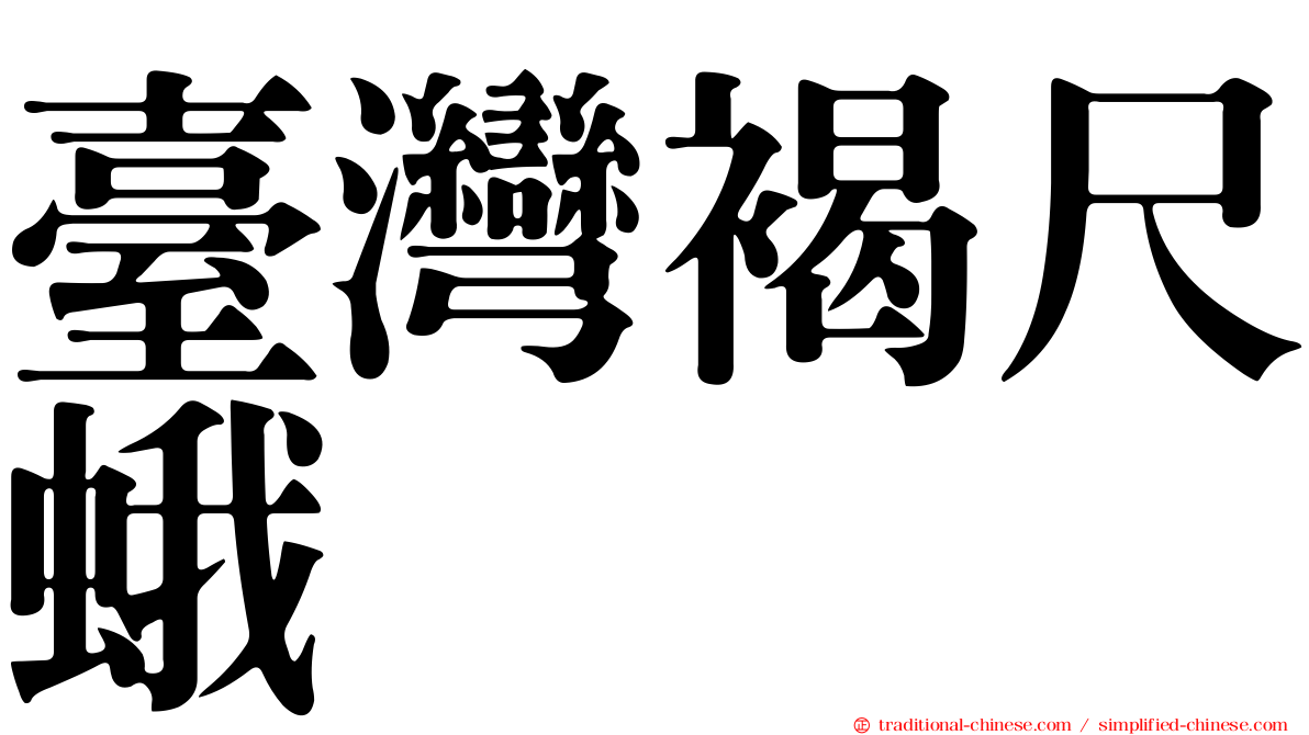 臺灣褐尺蛾