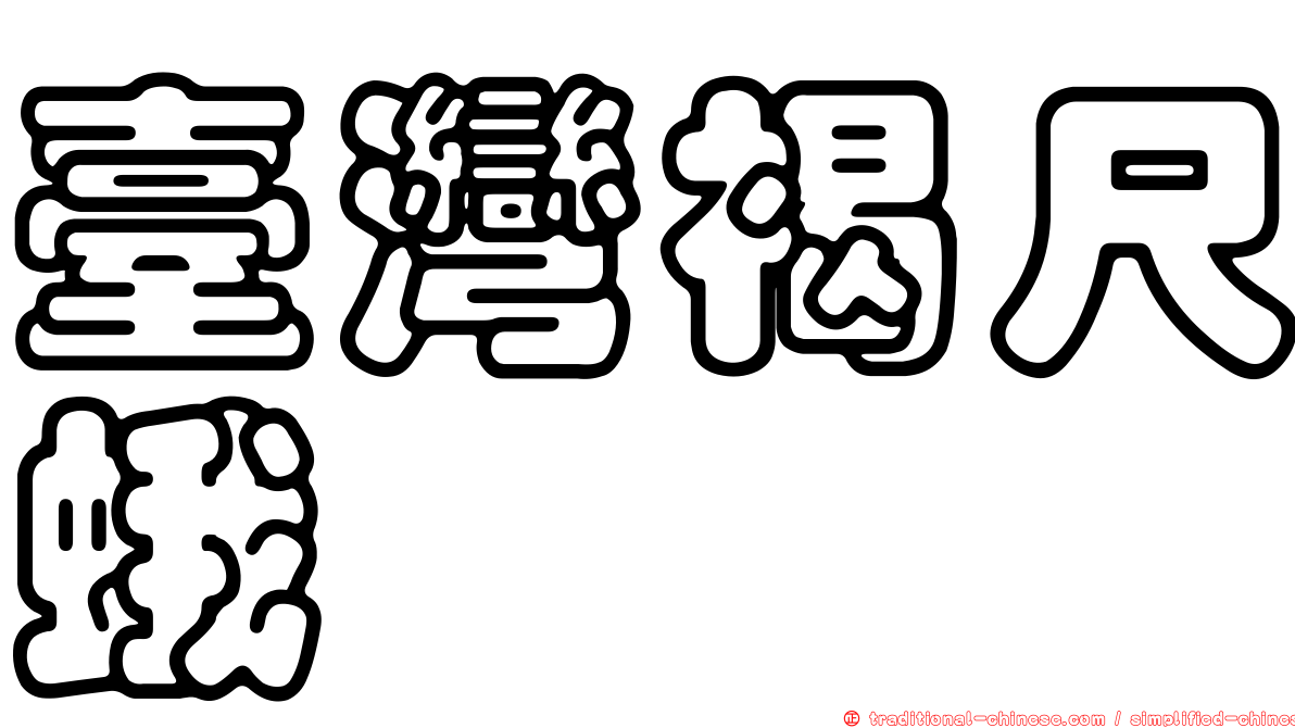 臺灣褐尺蛾