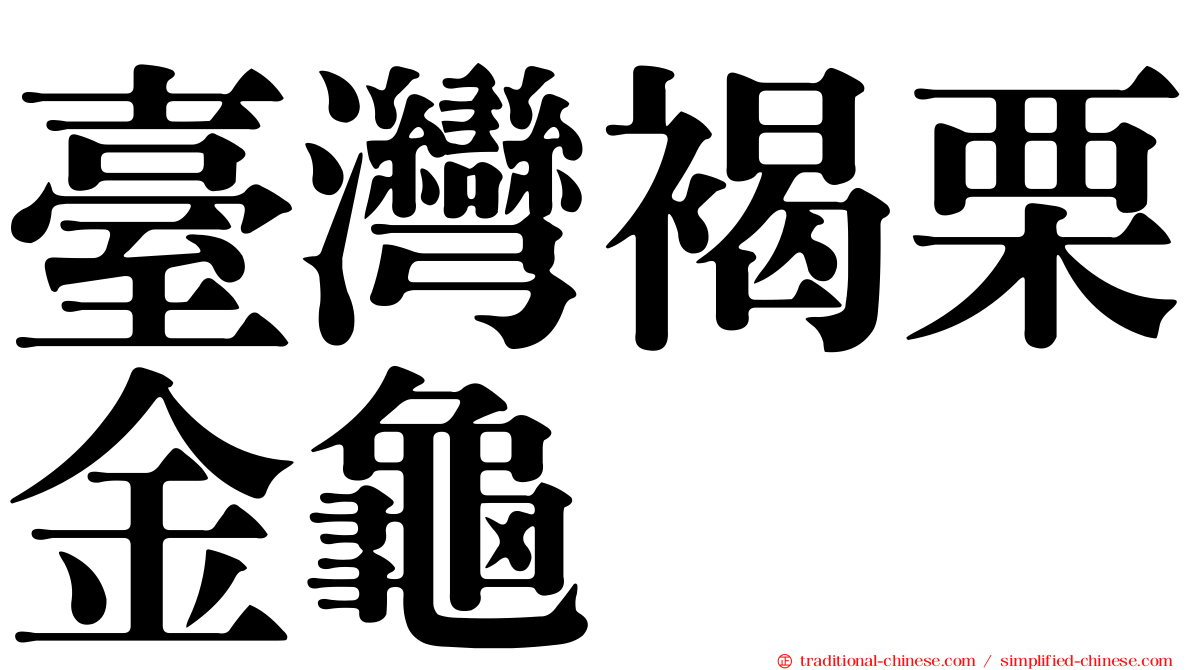 臺灣褐栗金龜