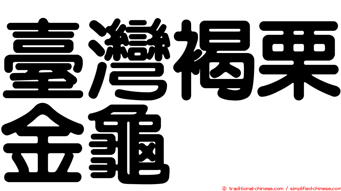 臺灣褐栗金龜