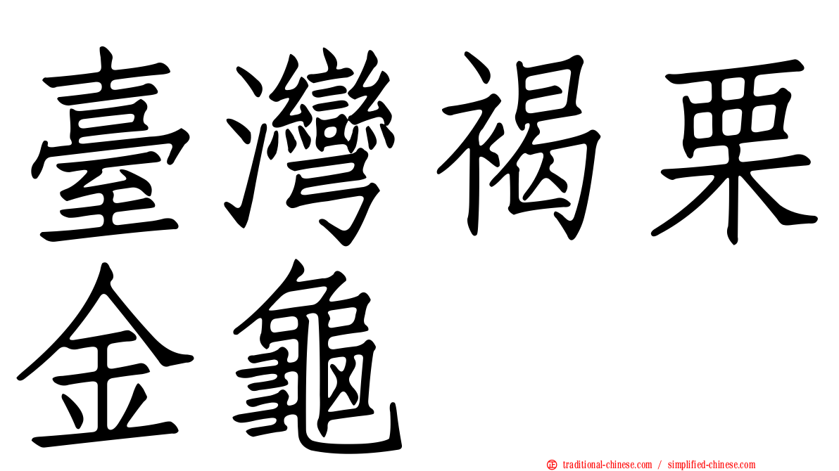 臺灣褐栗金龜