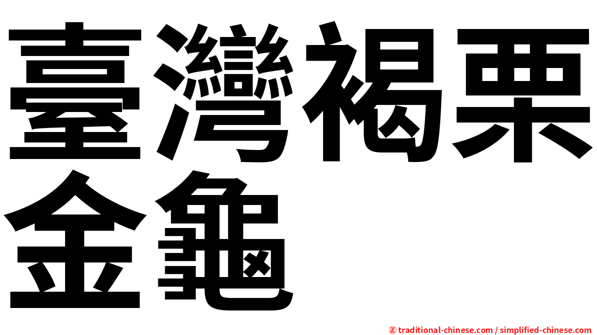 臺灣褐栗金龜