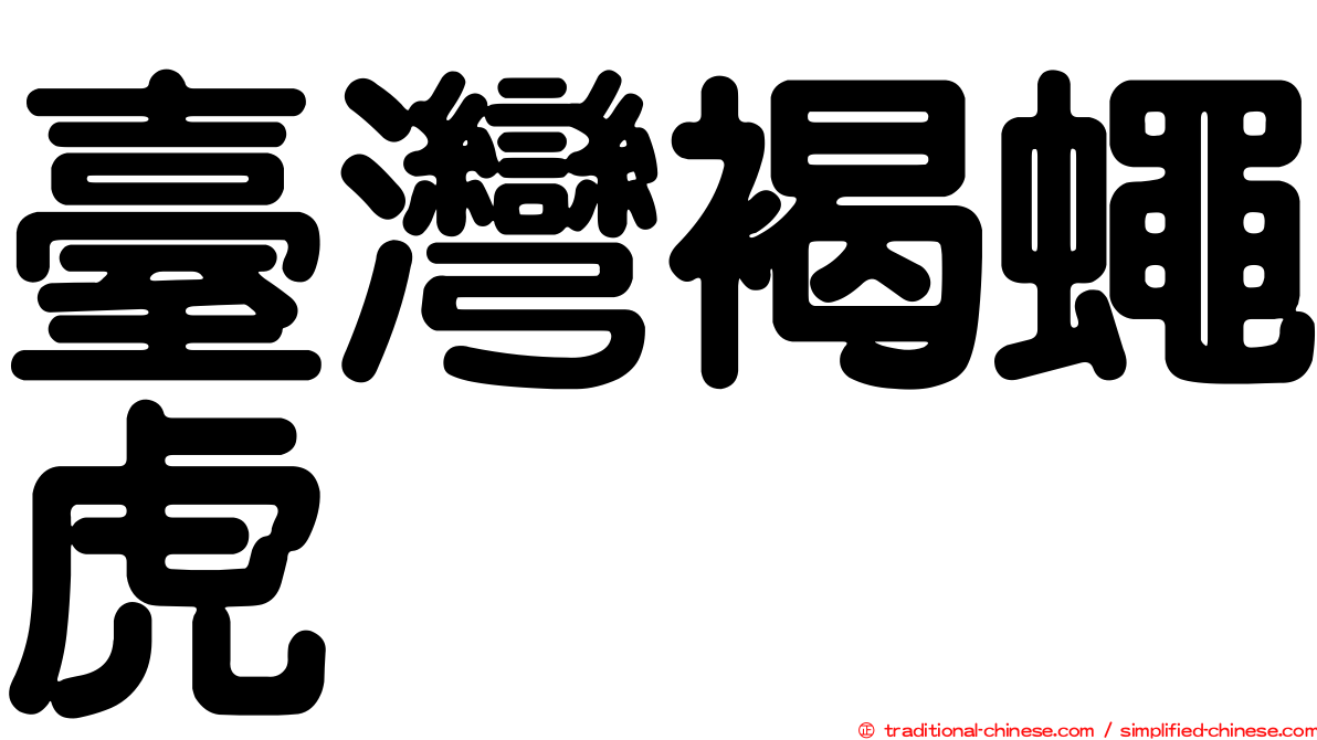 臺灣褐蠅虎