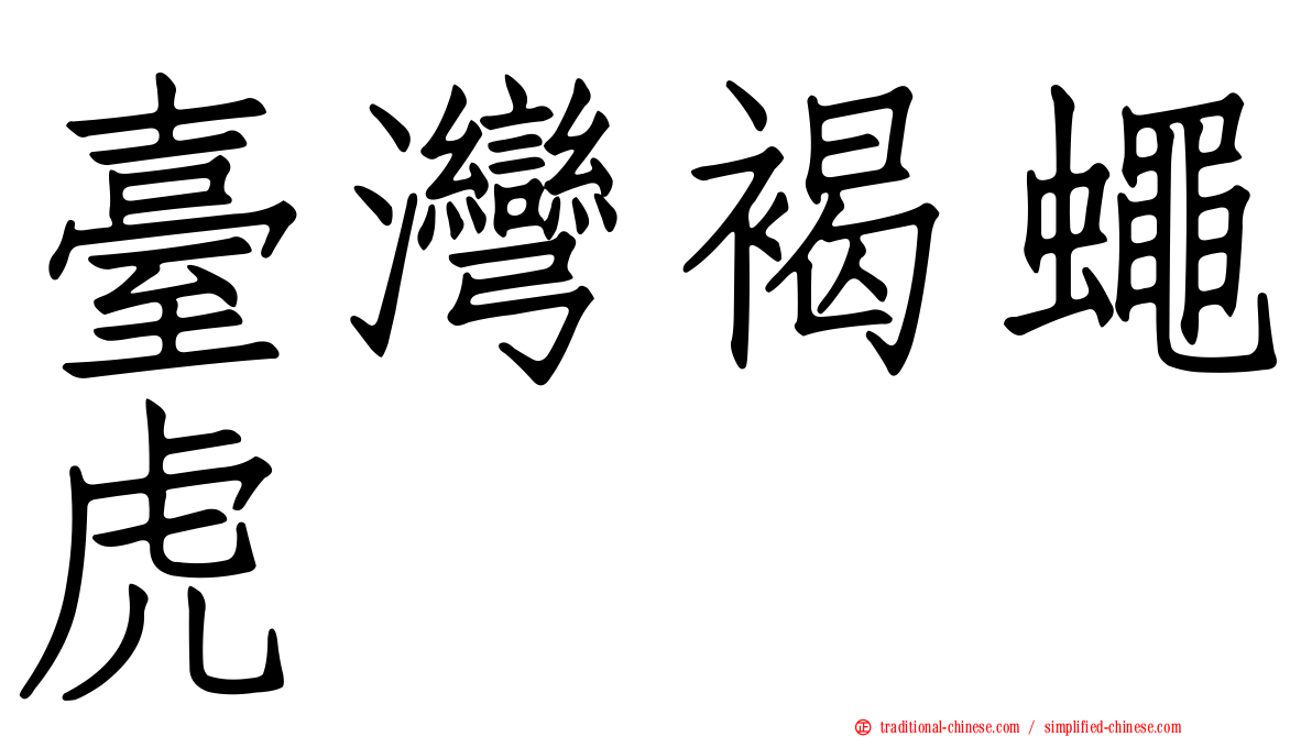 臺灣褐蠅虎
