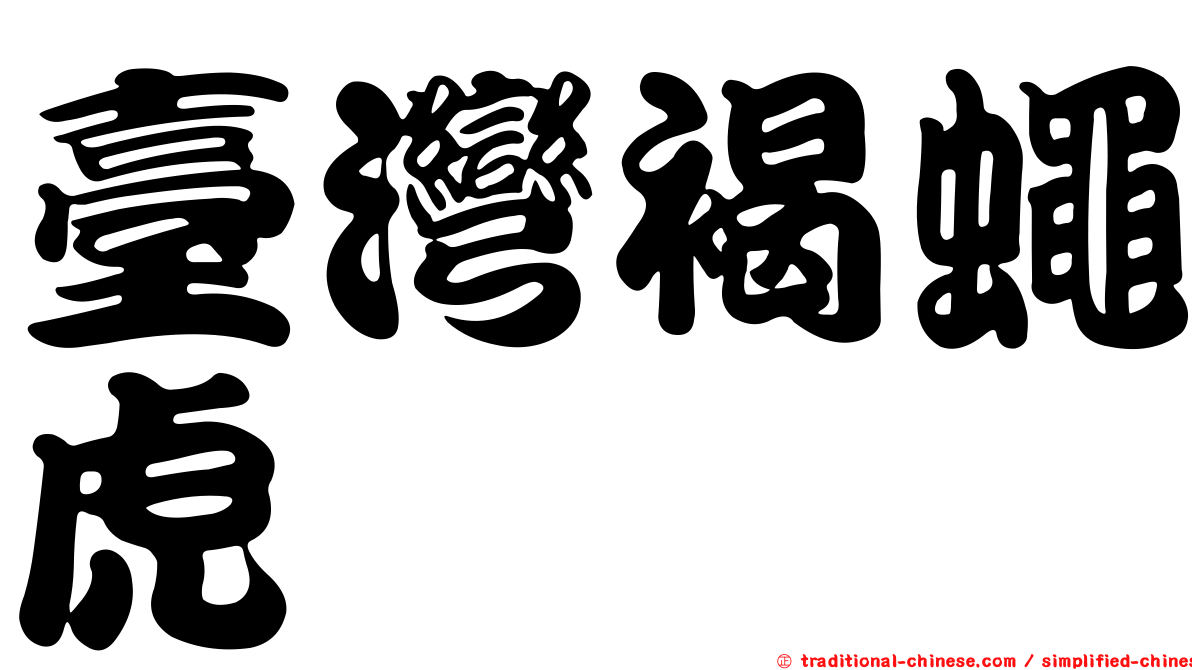 臺灣褐蠅虎