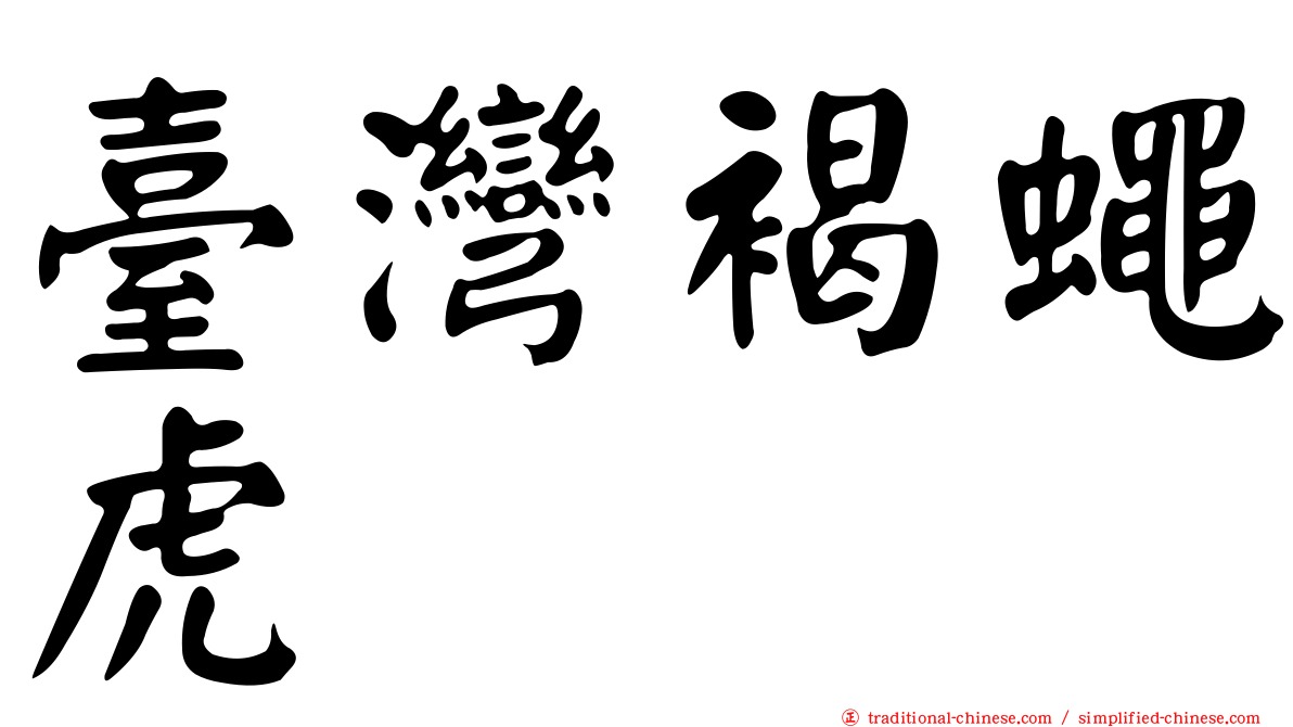 臺灣褐蠅虎