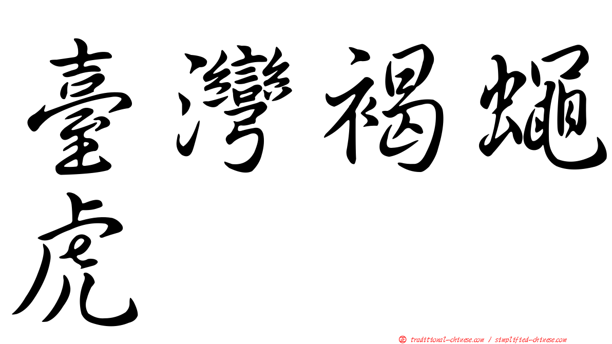 臺灣褐蠅虎