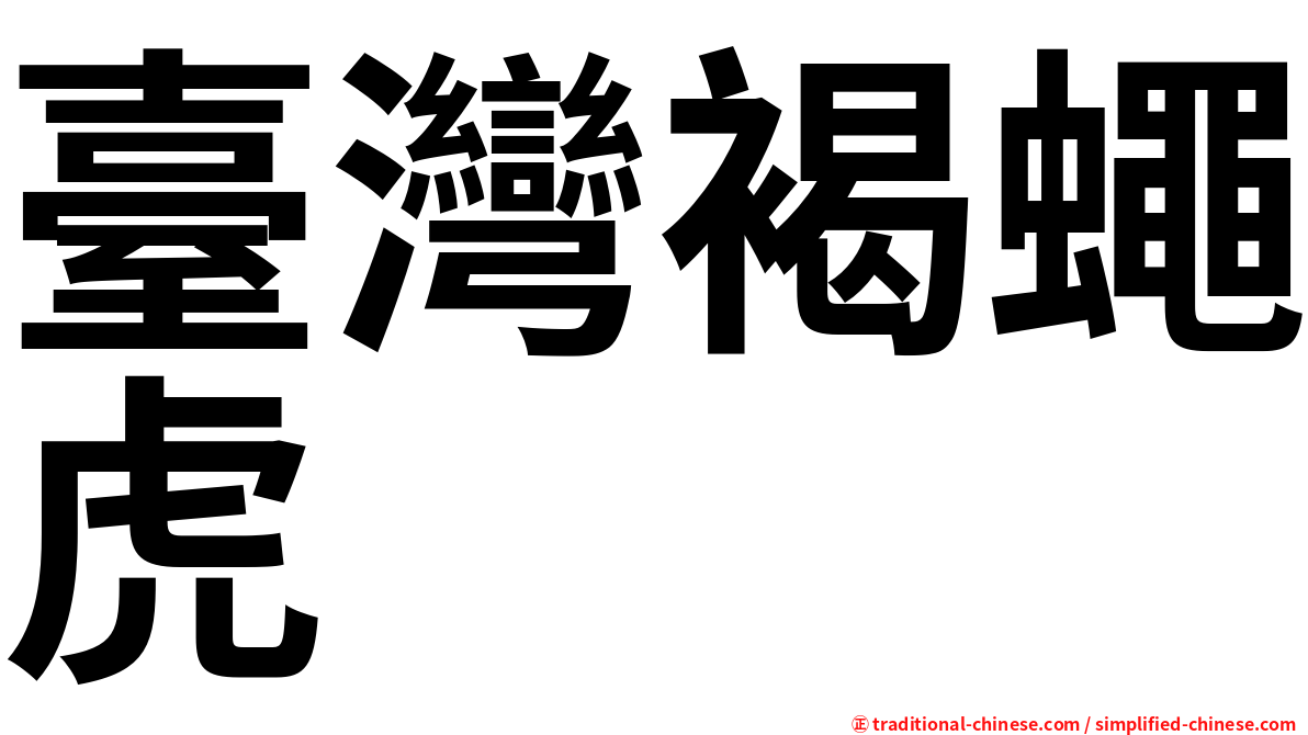 臺灣褐蠅虎